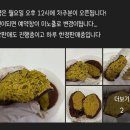 월성도너츠 | 월성도너츠 : 대구 송현동 두쫀쿠 예약 구매 / 옛날 꽈배기 찹쌀도너츠 맛집