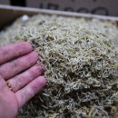 장은수산 이미지