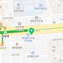 마포 요미독앤캣 강아지분양 고양이분양 이미지