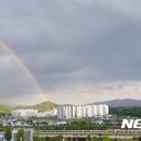 무지개 뉴시스
