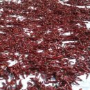 초일리 경로당 이미지