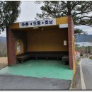 오동세천 Daum카페