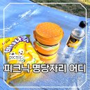 명당산단내 공원 | 여의나루 한강공원 피크닉 벚꽃 시즌 인생샷 명당 &amp; 자리 꿀팁