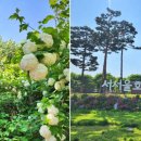 브라운도트 검단신도시점 이미지