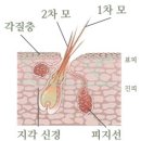 전대동물약국 이미지