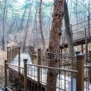 치유의숲 화장실 이미지