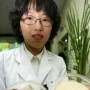 GMO 식품에 대하여... 이미지