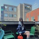 조명해봄 티스토리