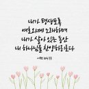 조용하다, 평온하다 샤카트(שָׁקַט) 이미지