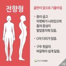 (주)현대자동차음성서비스 | 동물병원을 갔다! | PETCO(펫코)VETCO(벳코) 후기, 방광염 처방사료, 심장사상충약 Simparica Trio