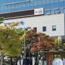 바램행정사무소 이미지