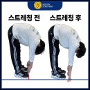 바다체형관리