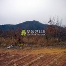 신구리농장 Daum카페