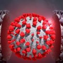 변이(미디어) 이미지