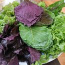 신니마당가든 이미지