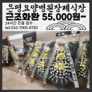 은평요양병원 | 은평요양병원장례식장 근조화환 배송 후기 3시간 이내 도착
