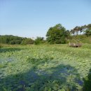 밝은세상마을 이미지