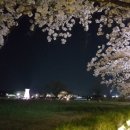 오슬로펜션 이미지