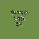 동해수산물직판장 | 춘장대수산물직판장 무료 주차 꿀팁과 삼척 오션뷰 숙소 베스트 5 추천 후기