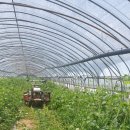 달밭농장 이미지