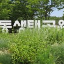 패랭이공원 이미지