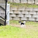 멍스빌리지풀빌라3 이미지