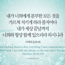 데일리레코드(daily record) 이미지