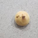 산적대학로점 | 어디서부터 설명을 해야할까;