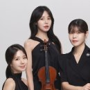 앙상블(ensemble) | [W.11] 연주업체| 아템앙상블 계약 후기