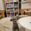 뭉클하우스펜션