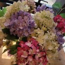 루소의 숲 어린이집 이미지