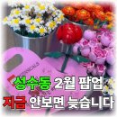 (주)에스엔에스 | [공지] 성수동 일주일에 두번가는 친구가 알려준 이번주 특별팝업