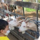 원주곤충마을박물관 이미지