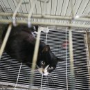 인월동물병원 이미지