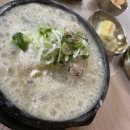세상담 | 춘천1박2일 여행(신남큰집삼계탕, 김유정문학촌, 카페드220볼트, 메이샤 1990, 카페카르페, 토담닭갈비...