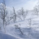 남진행정사사무소 이미지