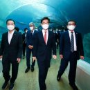 초양마루 이미지