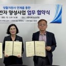 노인치매센터 이미지