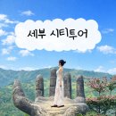 근육본부 | [세부 시티투어 후기] 세부 시티투어 트리쉐이드 굿바이팩 출국팩 솔직 후기