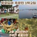 래미안펜션 | 우당탕당 강원도 주문진 1박2일 여행