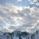 풀라운지 펜션&글램핑 | 양양 숙소 추천｜풀라운지 펜션&amp;글램핑 후기