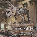 제11기 박물관대학 | 도쿄 국립 과학 박물관 공룡 덕후 아이와 방문후기 (예약 및 관람 팁)