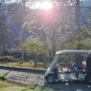 양지 | 용인CC 그린피 양지파인CC 후기 서울근교 경기도 골프장 추천