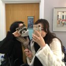 (주)코리아세븐 미아빅토리아호텔점 | 영국 런던 도보로 레스터스퀘어 근처 정복하기 (대영박물관/버거앤랍스타/오페라의유령/엠앤엠)