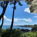 칠복식당 이미지