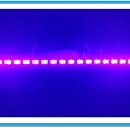 조명박물관 공연장 이미지