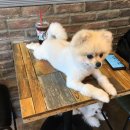 모찌네호캉스 이미지