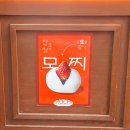 지도로13번길 | 강릉중앙시장 먹거리 맛집 추천 강릉딸기모찌 디저트 후기