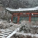 수안사 이미지