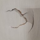 세븐일레븐 성남심곡중앙점 | 문짝수리 필요할 때, 깨진방문복원 시공 후기